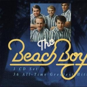Your Summer Dream — The Beach Boys