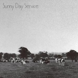 ベイビー・ブルー — Sunny Day Service